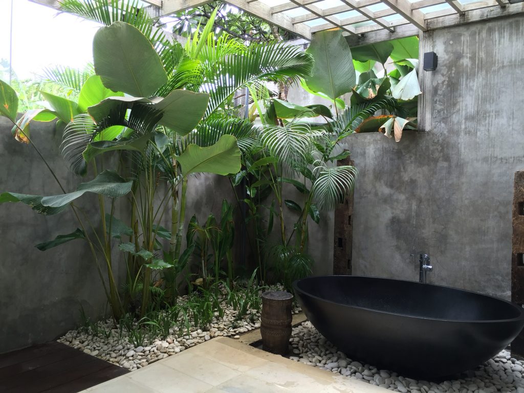 Summer Tropical Bathroom